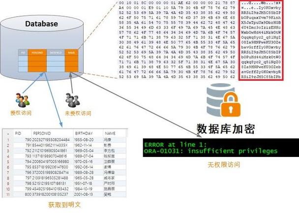 mysql解密md5存的数据库_组织解密