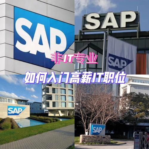 SAP：整并浪潮席卷IT业 开源对手不足为虑