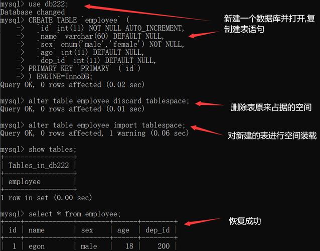 mysql获取数据库的创建表语句_创建MySQL数据库