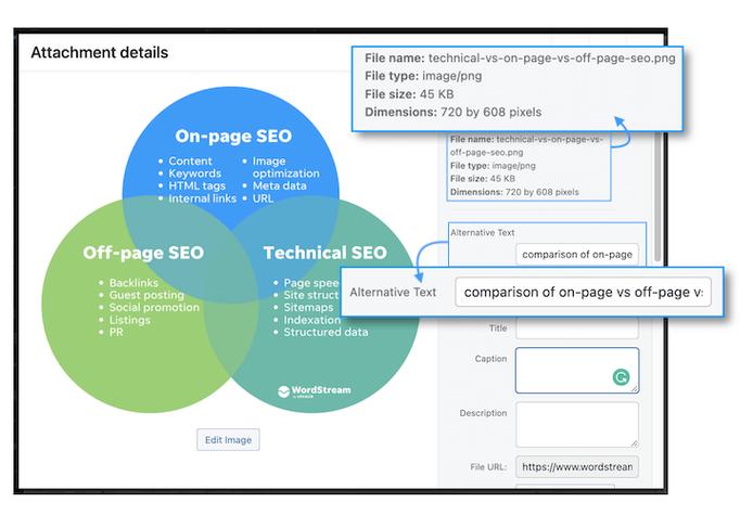 2023年Google SEO 十大趋势：获取流量新机会