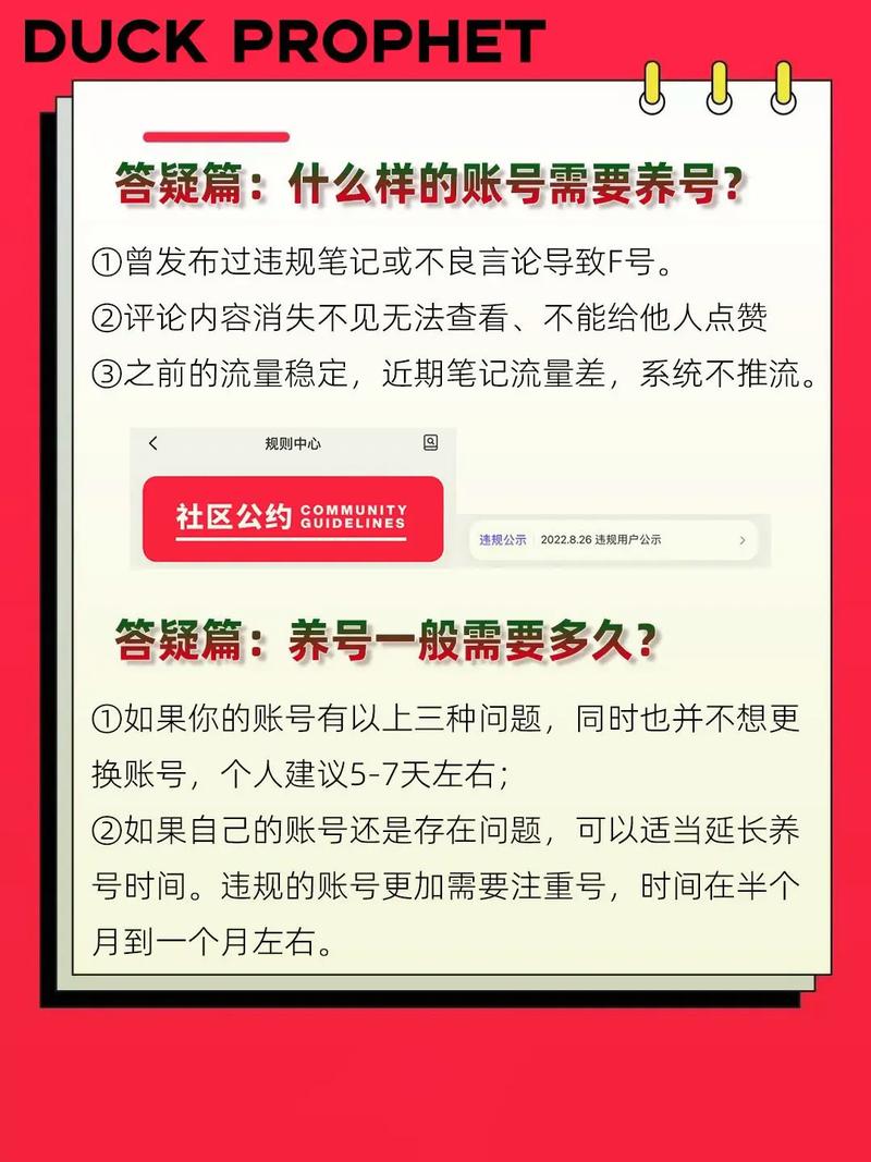 如何优化远程视频会议体验，关键解决方案探索？