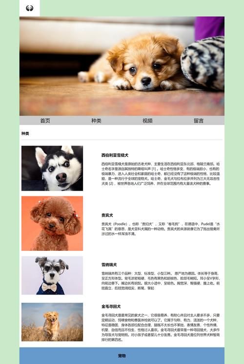 网页设计制作教程:CSS书写格式