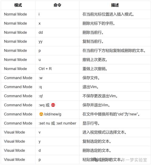 linux授权所有指令